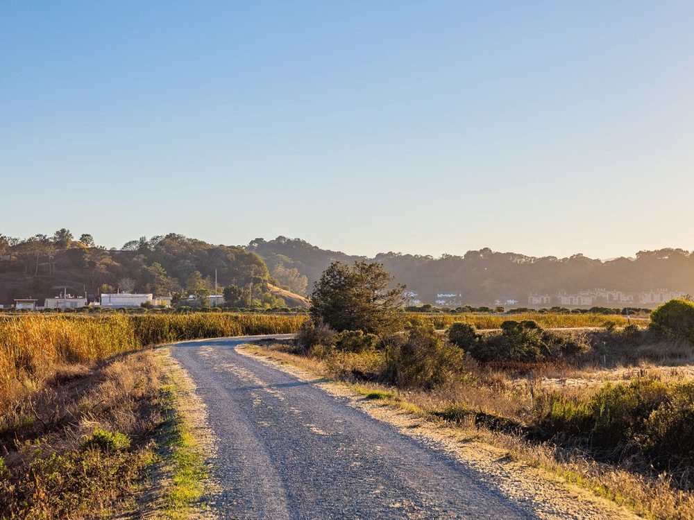 A compacted gravel road running out through open country at sunrise